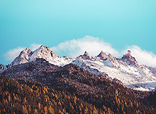 开云官方网站：开启数字生活的新入口